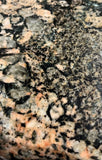 Granite Laze Susan Black / Cream and Salmon